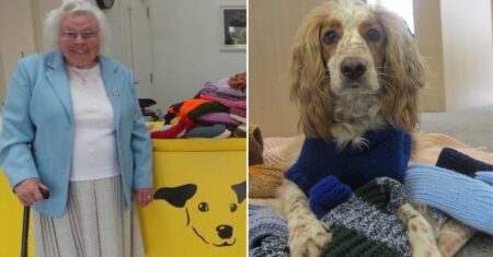 Vovó de 89 anos tricotou à mão milhares de casacos e cobertores para cães de abrigo