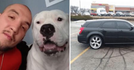 Homem coloca carro à venda para custear o tratamento que salvaria a vida de seu cachorro