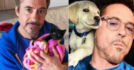 Robert Downey confessa que não consegue viver sem os animais que resgatou