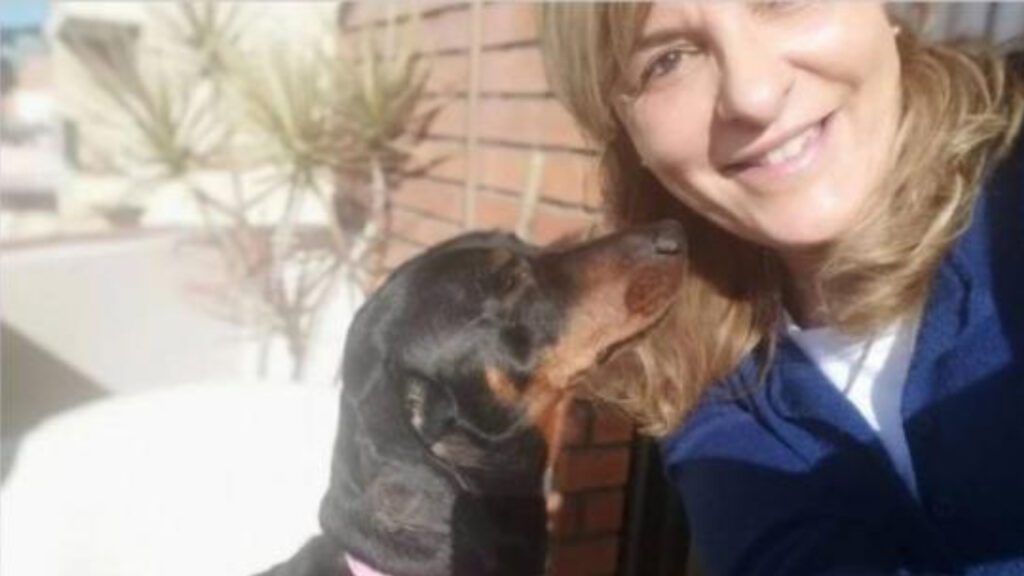 Mulher pede licença para se ausentar do trabalho para cuidar de seu cachorro doente