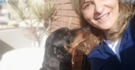 Mulher pede licença para se ausentar do trabalho para cuidar de seu cachorro doente