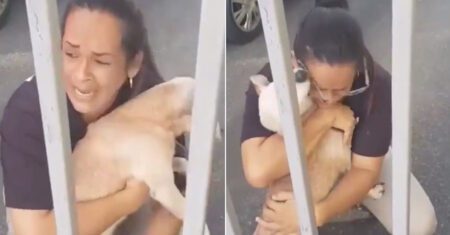 Mulher é vista emocionada e inconsolavelmente após reencontrar seu cachorro. Ela o abraça sem parar