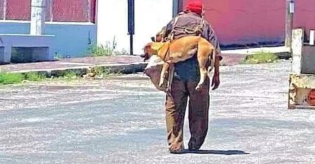 Vovô carrega seu cachorro nas costas para proteger as patinhas do asfalto quente