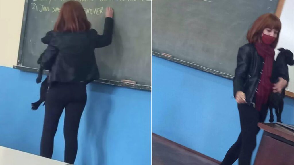 Professora segura cachorrinho assustado que entrou na sala de aula e o conforta