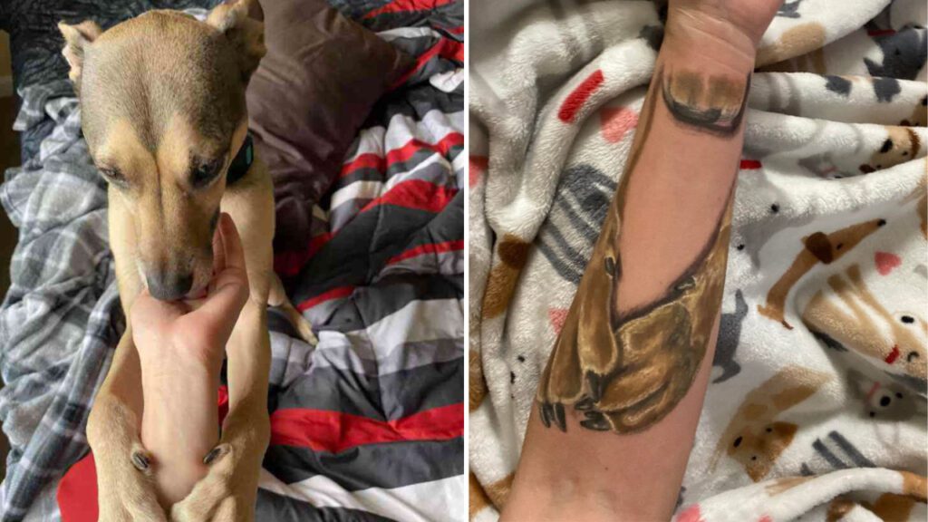 Mulher tatua as patas de seu cachorro falecido em seu braço: “É como se ele me abraçasse”