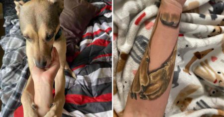 Mulher tatua as patas de seu cachorro falecido em seu braço: “É como se ele me abraçasse”