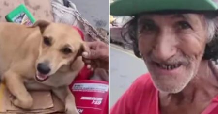 Homem recebe proposta para vender seu cachorro e ele respondeu: “Dinheiro não me dá amor”