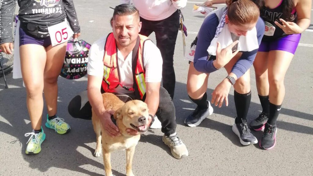 Cão caramelo participa sem querer de maratona e “conquista” o terceiro lugar