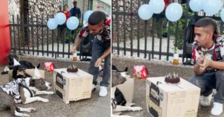 Morador de rua salva cachorrinho e comemora o aniversário dele com uma linda festa