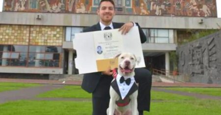 Cachorro acompanha seu dono em sua formatura e se torna centro das atenções