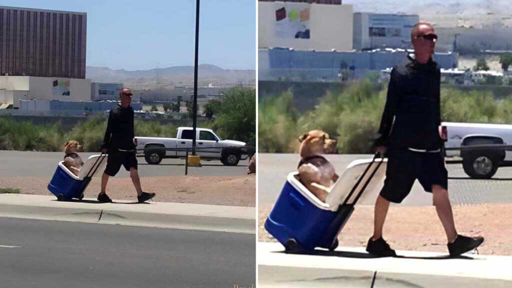 Jovem carrega seu cachorro para proteger as patinhas do chão quente: “Gesto maravilhoso”