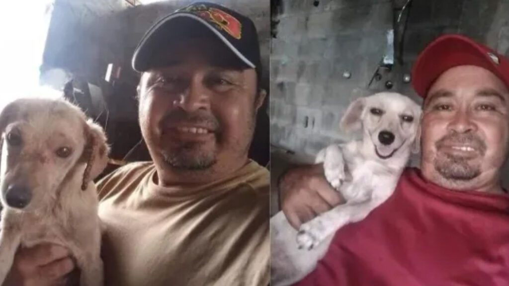 Homem resgatou cachorrinho triste das ruas e agora é o seu melhor amigo