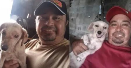 Homem resgatou cachorrinho triste das ruas e agora é o seu melhor amigo