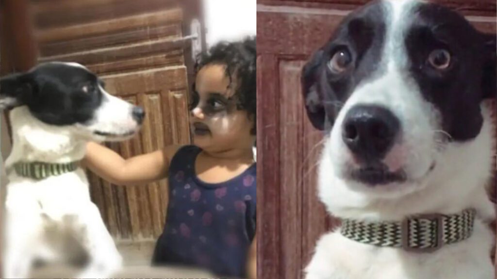 Menina se maqueia para ficar igual ao seu cachorro adotado