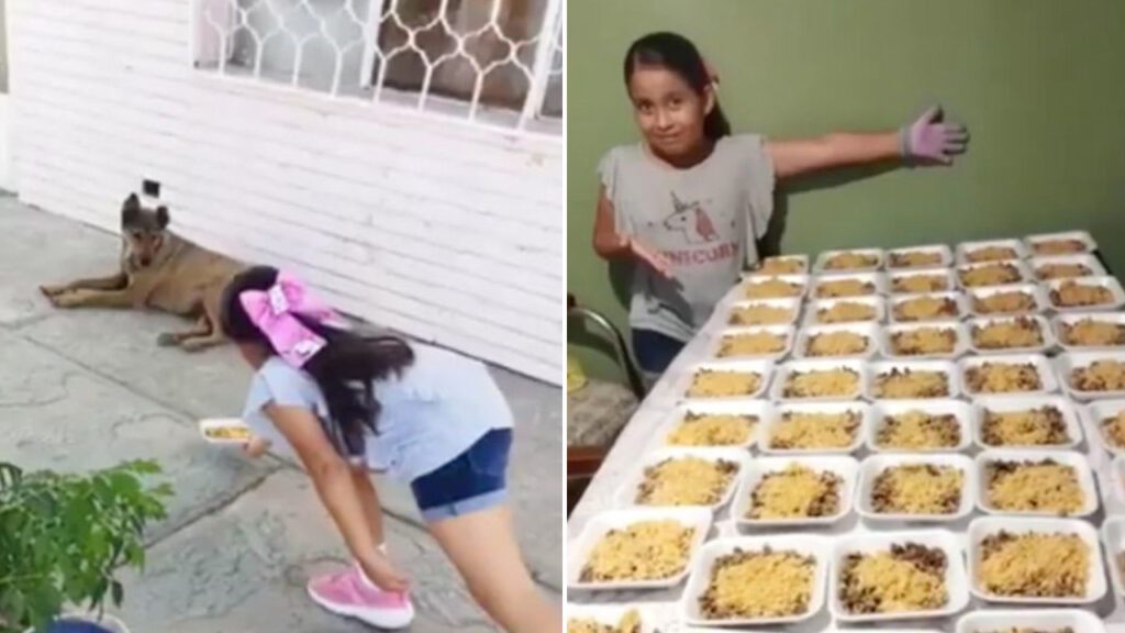 Menina é elogiada por distruibuir comida para cães de rua de seu bairro com um carrinho