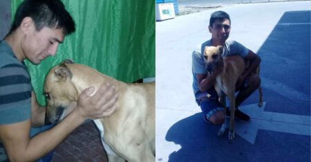 Jovem que ofereceu o carro como recompensa para quem achasse seu cachorro finalmente o encontra