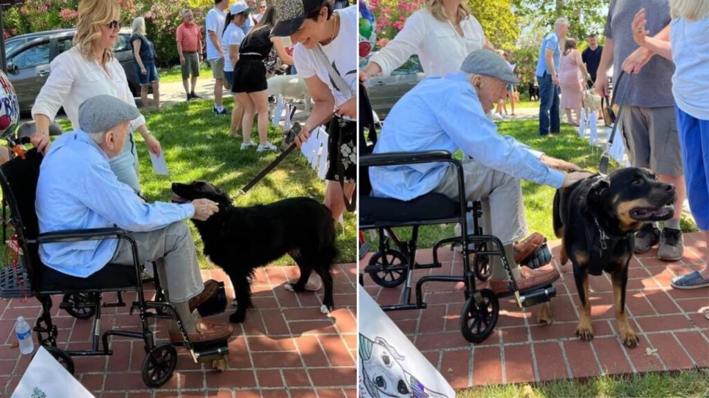 Idoso comemora 100 anos rodeado de mais de 200 cachorros: “Ele é apaixonado por cães”