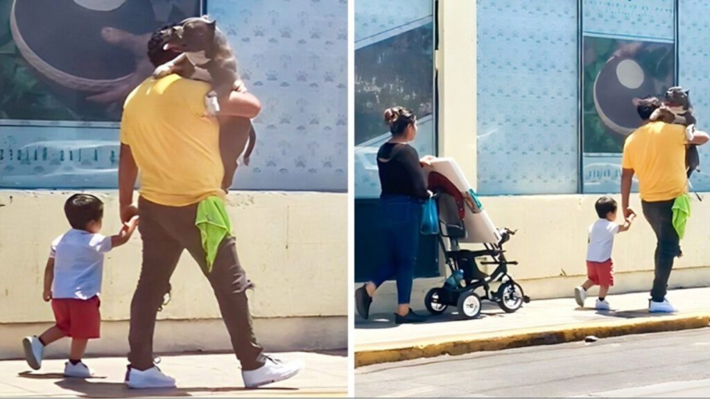 Homem carrega cachorro nos braços para proteger suas patinhas do calor