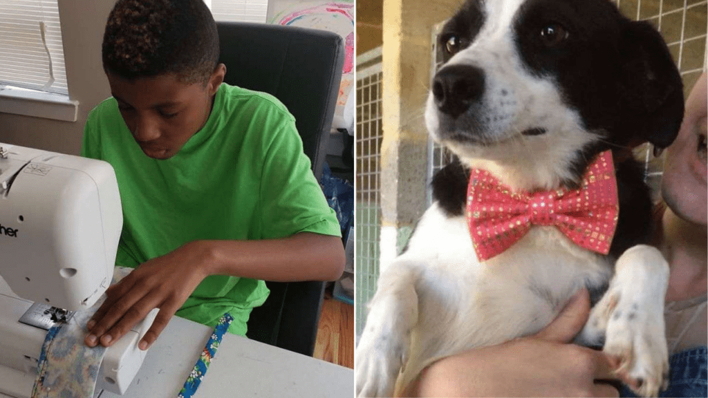 Menino de 12 anos faz laços para cachorros para ajudá-los a encontrar um lar