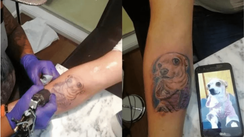 Homem tatua a imagem de seu falecido Chihuahua em seu braço para sempre carregá-lo com ele