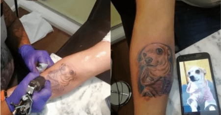 Homem tatua a imagem de seu falecido Chihuahua em seu braço para sempre carregá-lo com ele