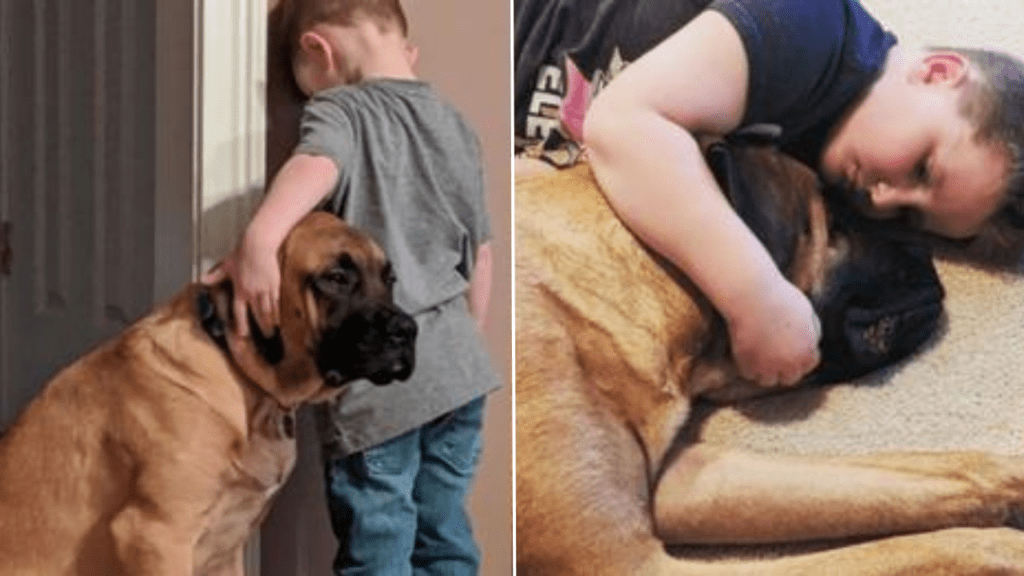 Cachorrinho fica ao lado de seu pequeno dono que ficou de castigo para ele não se sentir sozinho