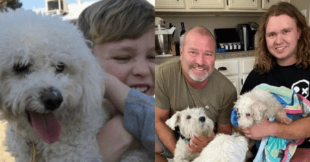 Cachorro que ficou perdido durante 12 anos finalmente reencontra a família