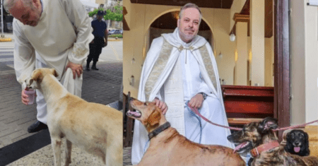Padre permite que cães de rua entrem na igreja para que os fiéis possam adotá-los