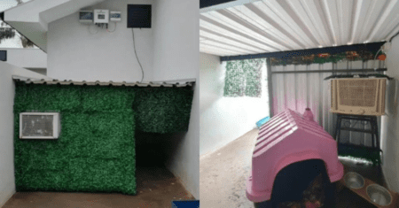 Jovem instala ar-condicionado na casinha de cães para aliviá-los do calor