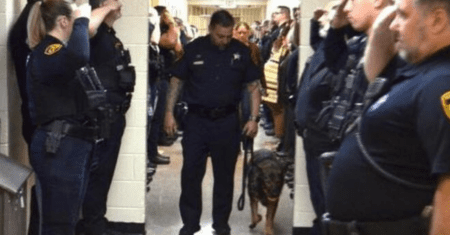 Cão policial com câncer terminal recebe a última homenagem de seus companheiros