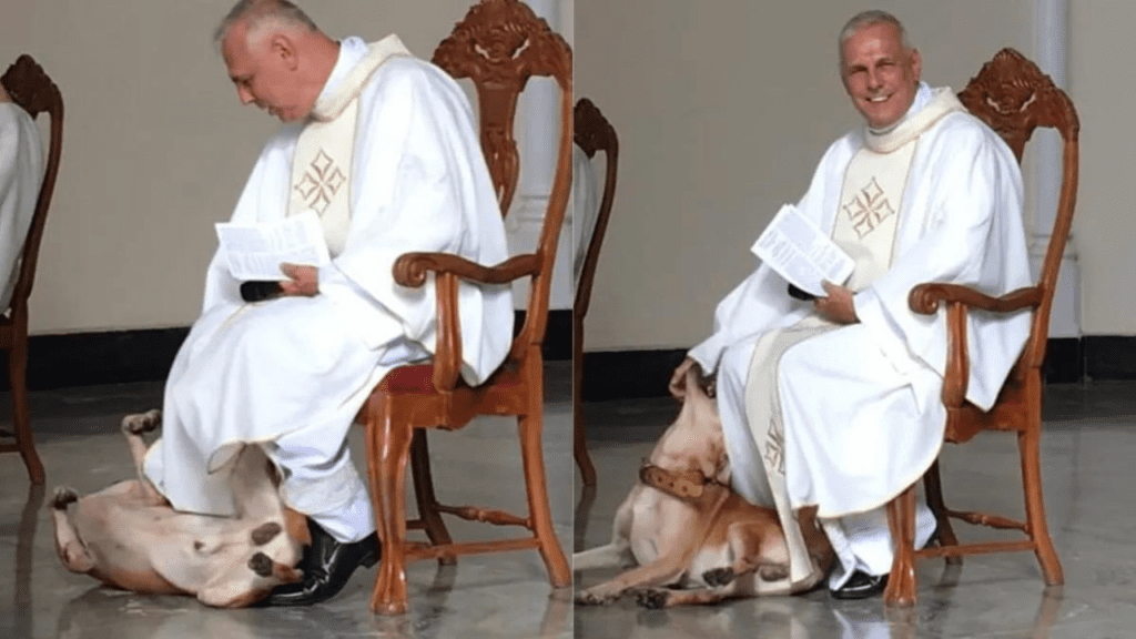 Cachorro de rua chega à igreja e interrompe missa para receber um pouco de carinho do padre