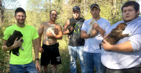 Homens estavam comemorando despedida de solteiro e resgataram uma cadelinha com 7 filhotes