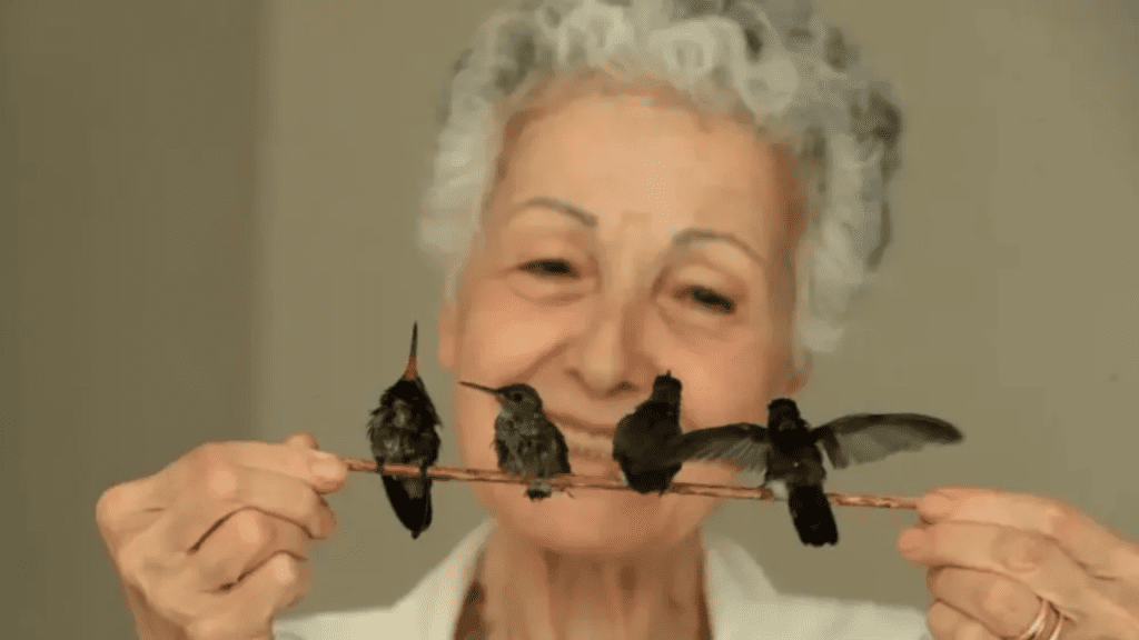 Uma mulher de 72 anos criou um hospital para beija-flores em sua casa
