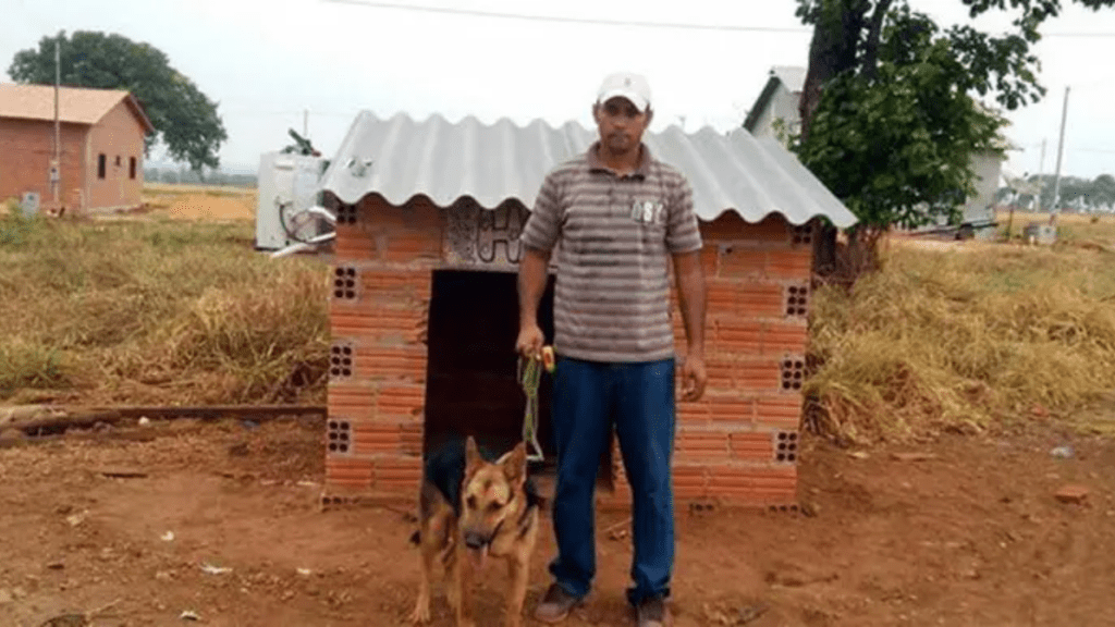 Homem instala ar condicionado na casa de sua cadelinha para livrá-la do calor intenso