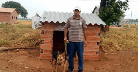Homem instala ar condicionado na casa de sua cadelinha para livrá-la do calor intenso